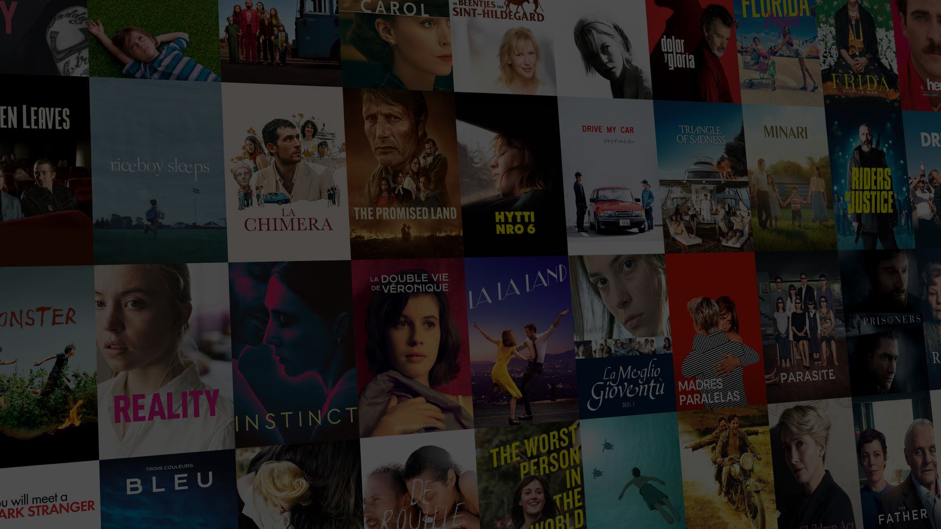Decorative image for background of CineMember